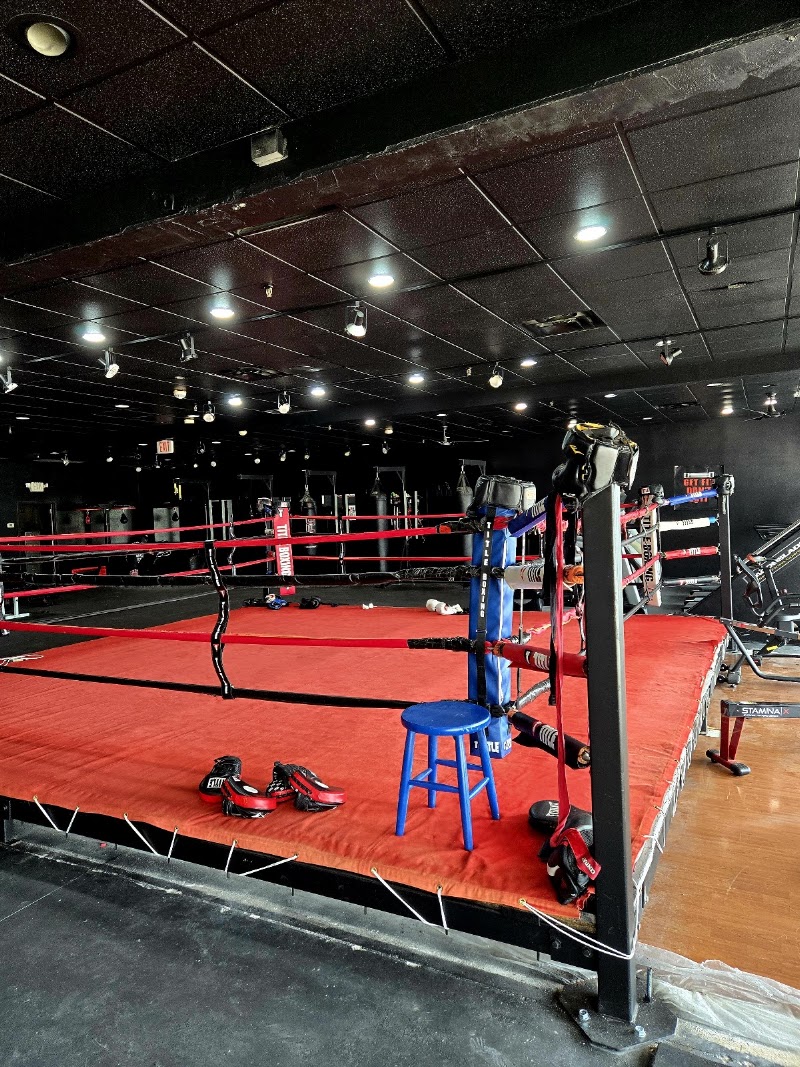 Photo of Defiant Wolf Boxing Fitness Center