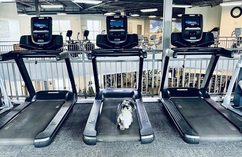 Photo of Perfect Workout Gym