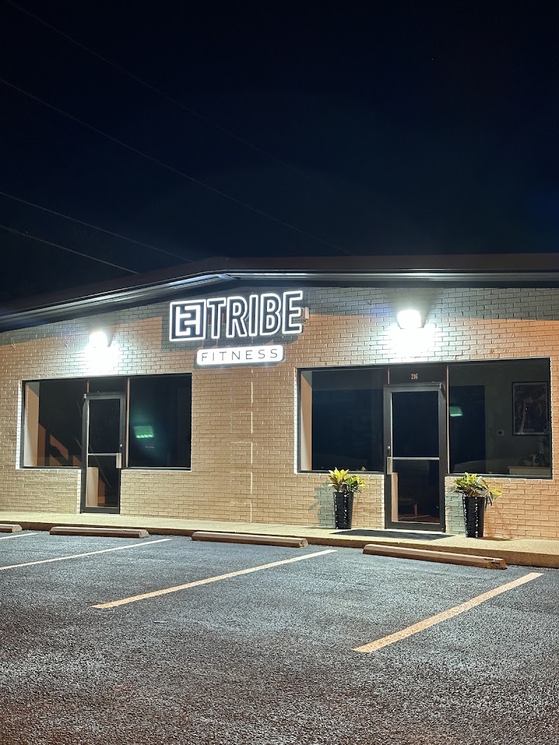 Photo of TRIBE Fitness
