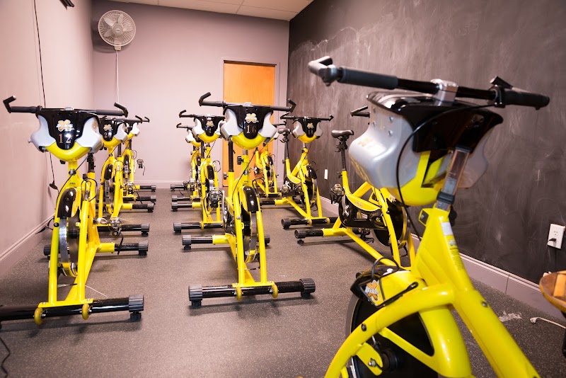 Photo of Warrior Fitness Camden
