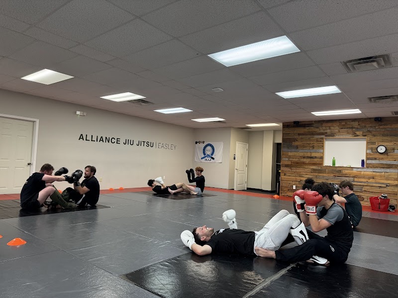 Photo of Easley MMA