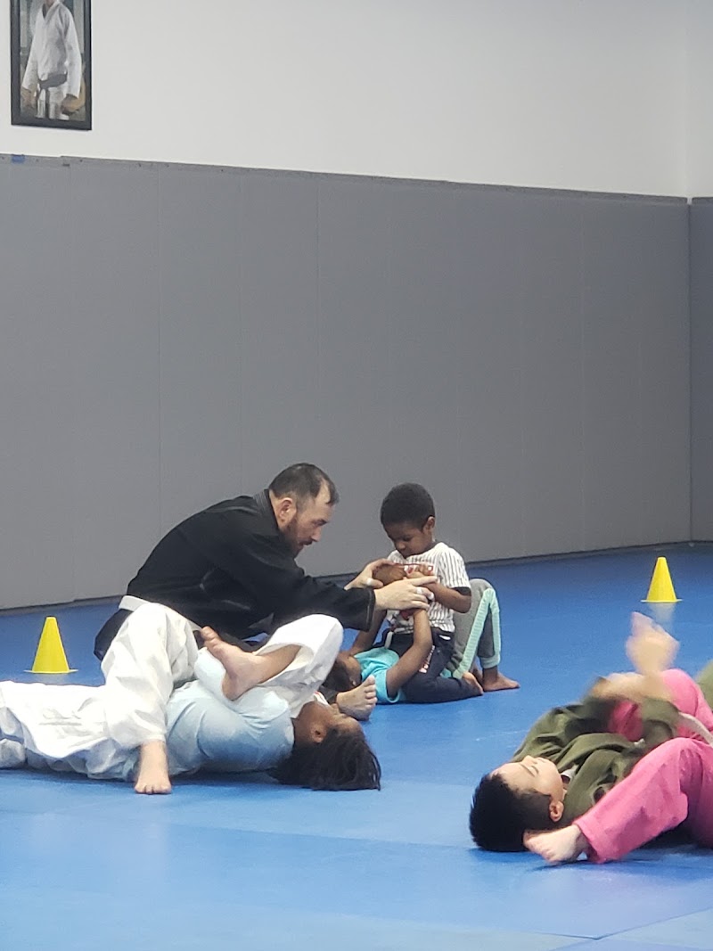Photo of Independent MMA & Fitness - Villa Rica