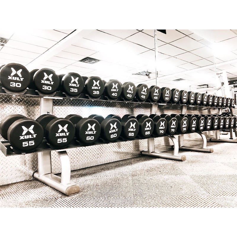 Photo of American Fitness Company