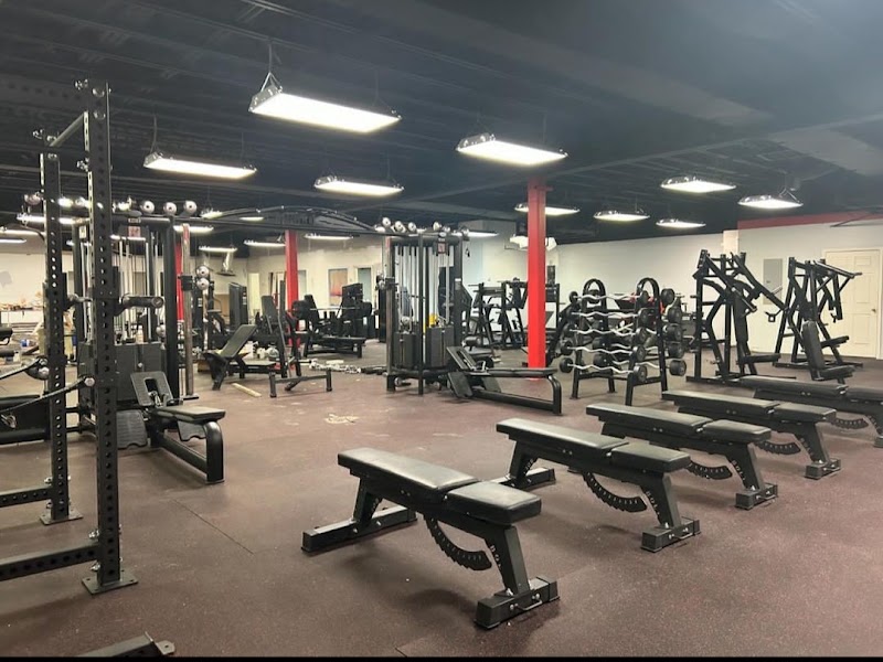 Photo of Level 1 fitness