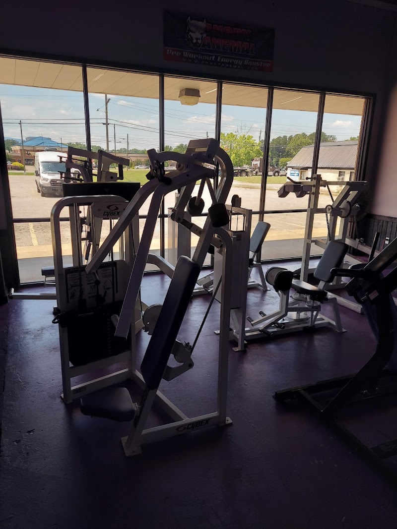 Photo of Dynabody Fitness
