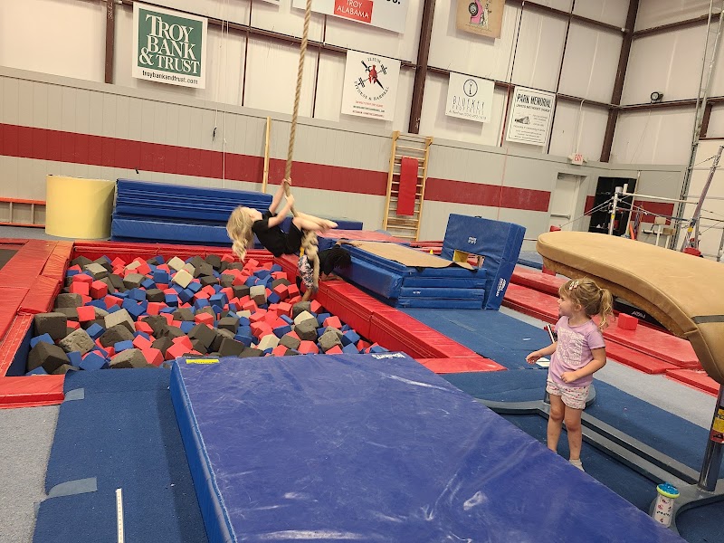 Photo of United Gymstars and Cheer of Troy