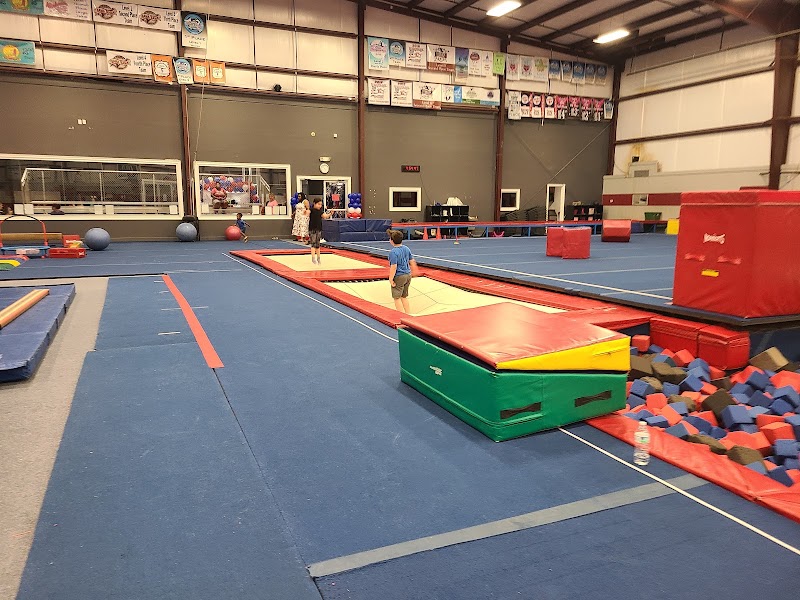 Photo of United Gymstars and Cheer of Troy