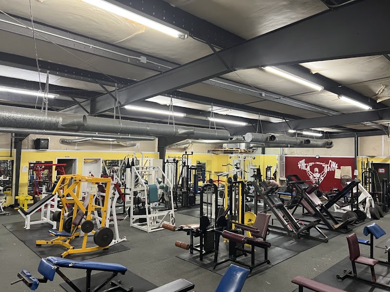 Photo of THE FREE WEIGHT GYM