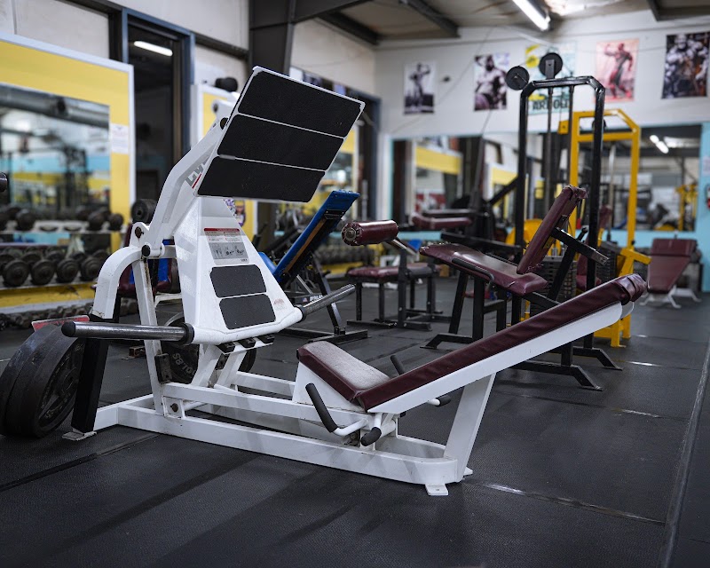 Photo of THE FREE WEIGHT GYM