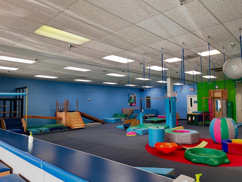 Photo of My Gym Maitland