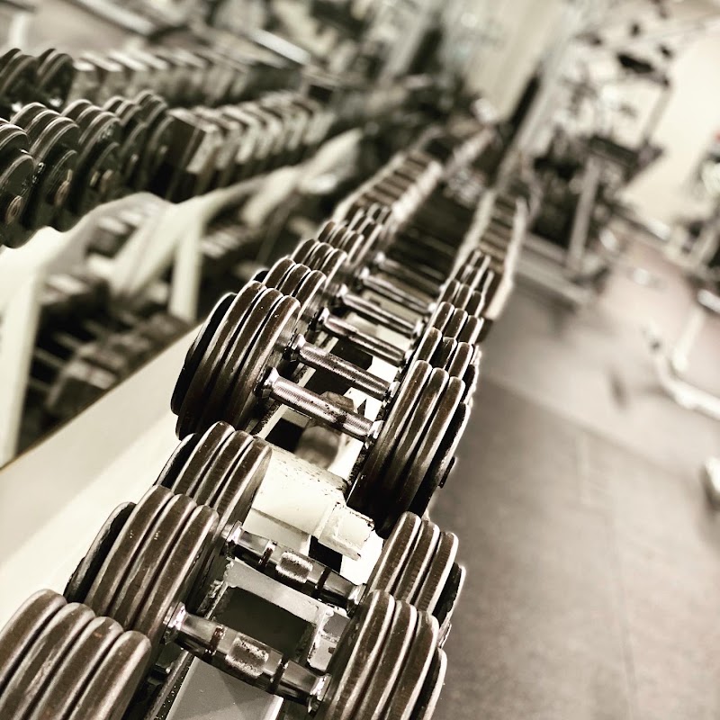Photo of Muscle Shoals Fitness
