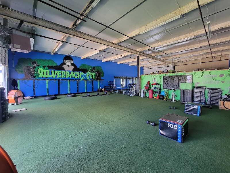 Photo of Silverback Xtreme Fitness
