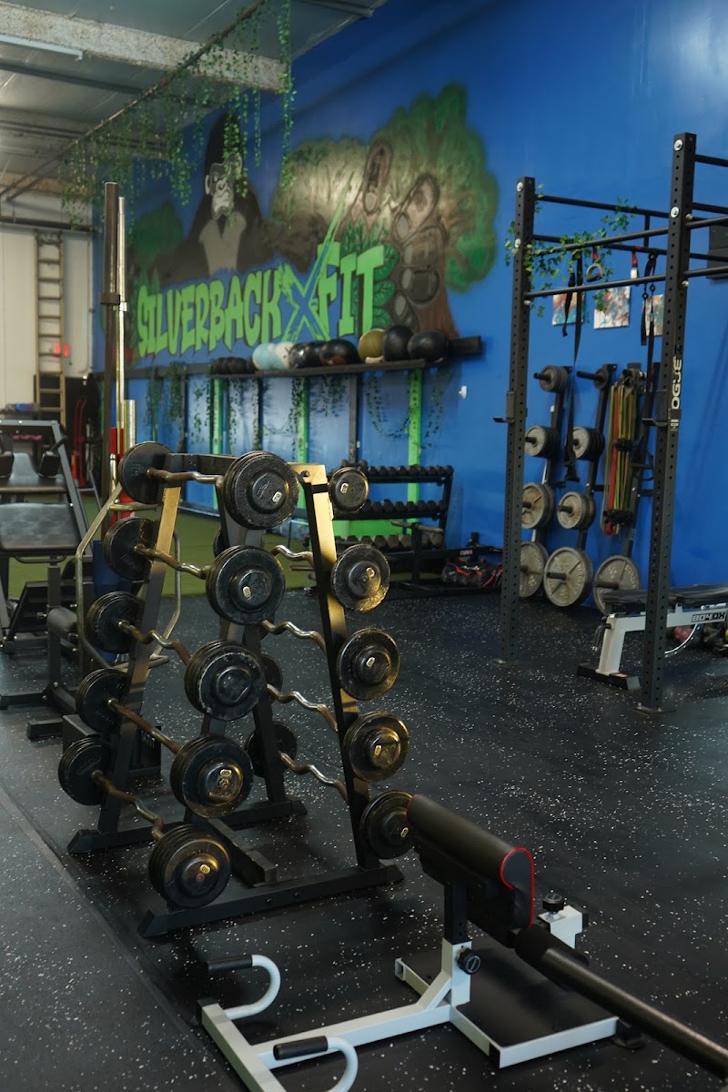 Photo of Silverback Xtreme Fitness