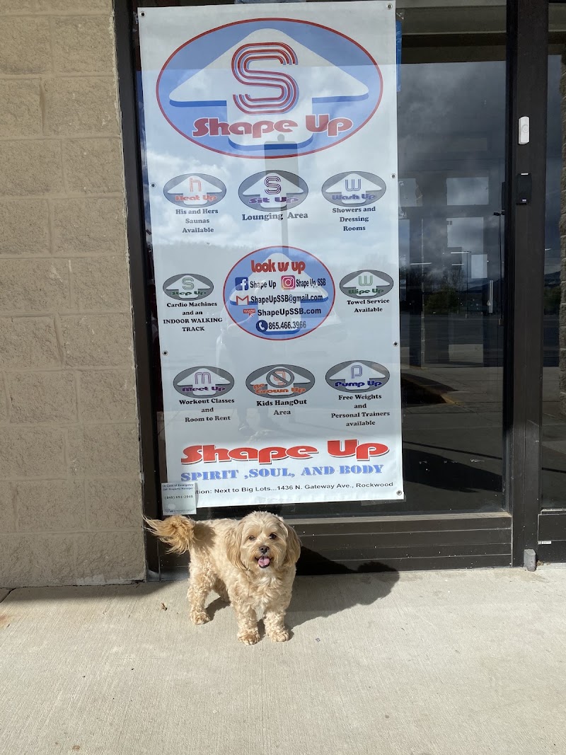 Photo of Shape Up