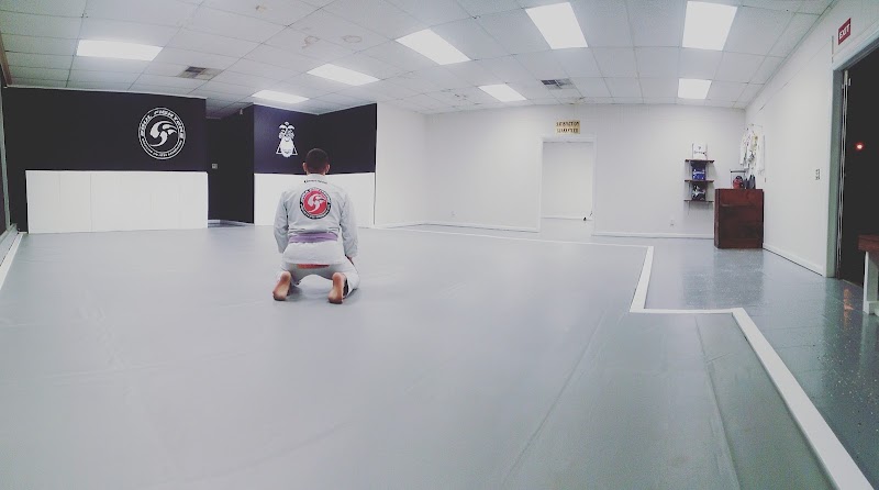 Photo of Higher Performance Jiu Jitsu