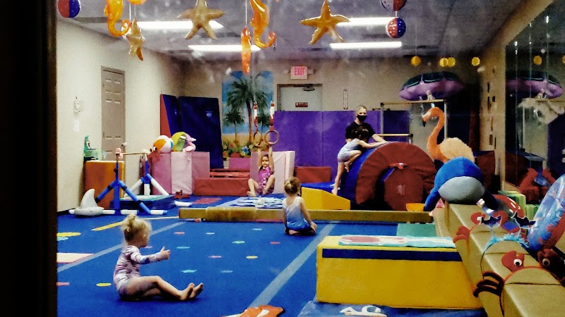 Photo of Paulding Gymnastics
