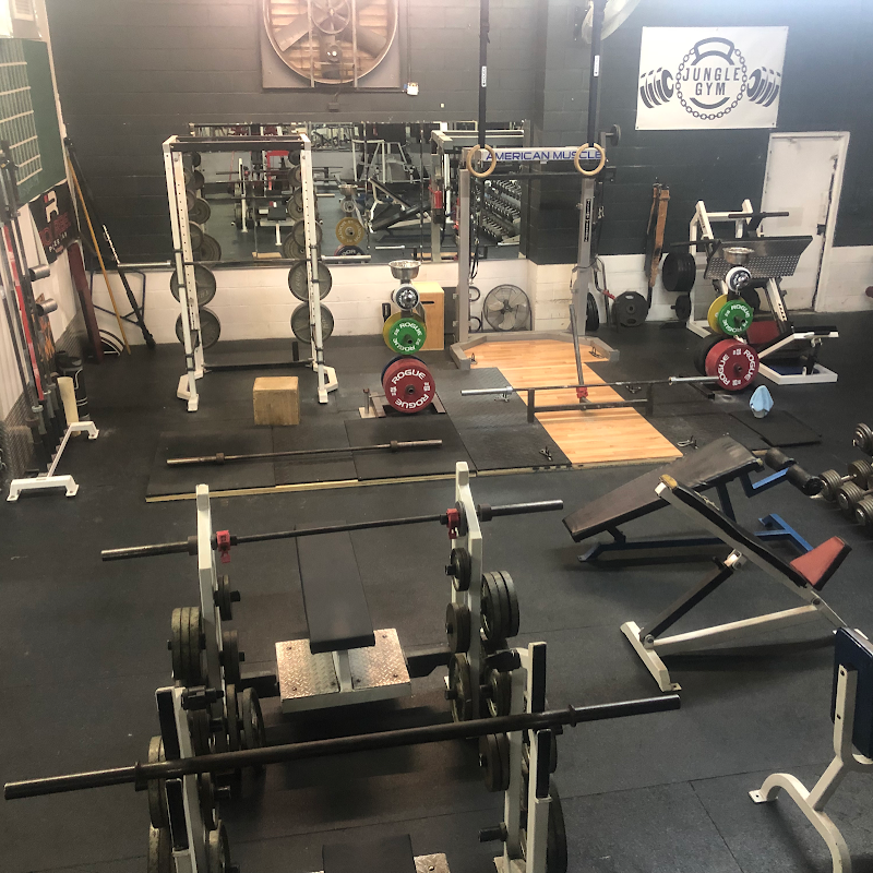 Photo of Jungle Gym Fitness