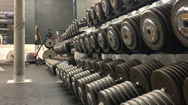 Photo of Jungle Gym Fitness