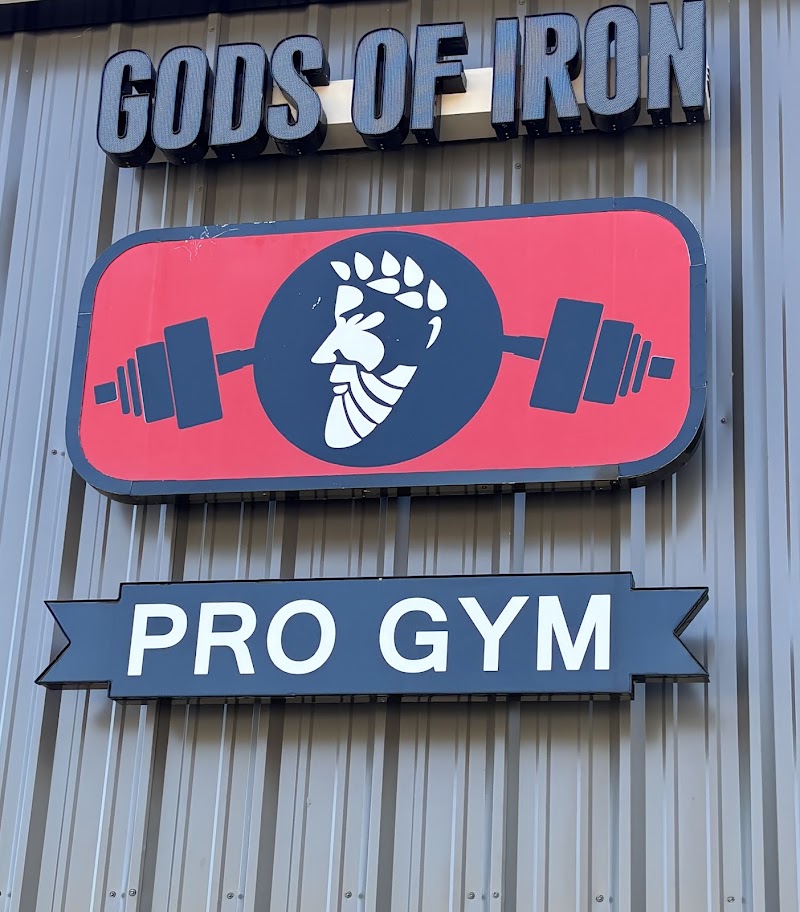 Photo of Gods of Iron Pro Gym