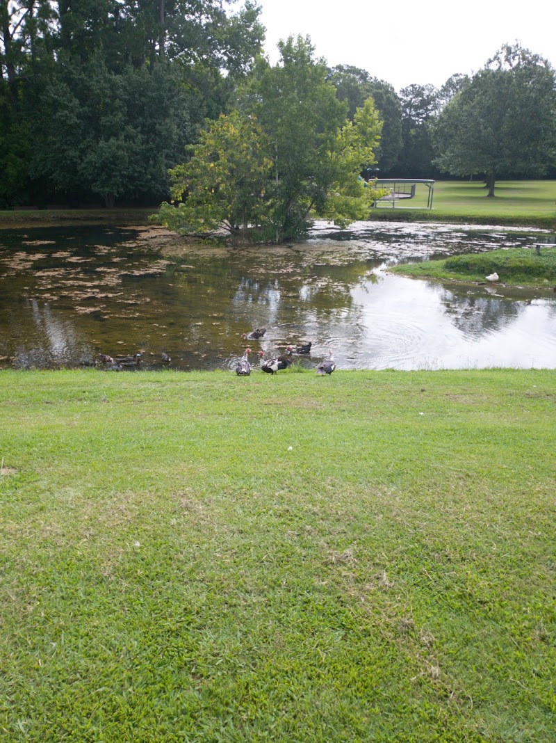 Photo of Anniston Aquatic & Fitness Center