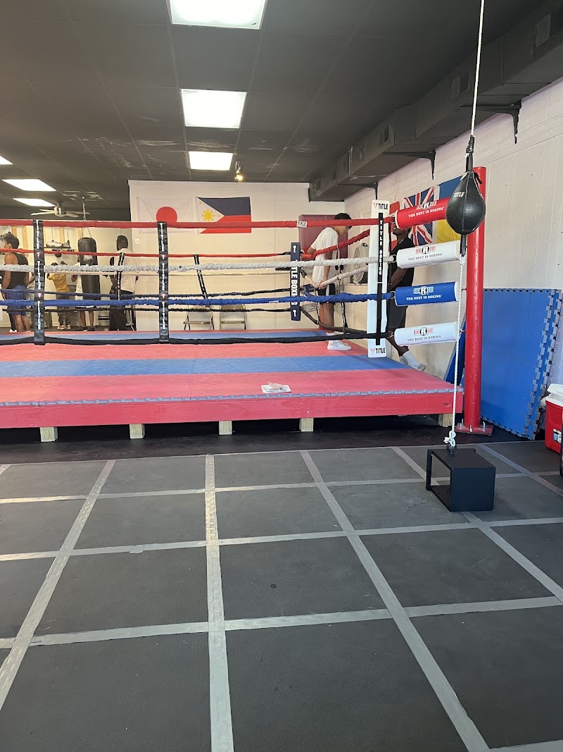 Photo of No Limit Boxing