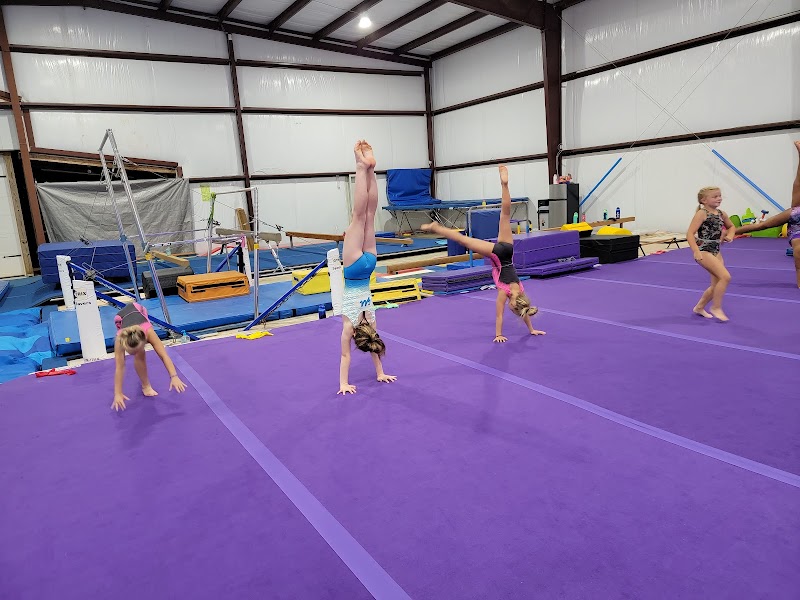 Photo of Precision Dynamix