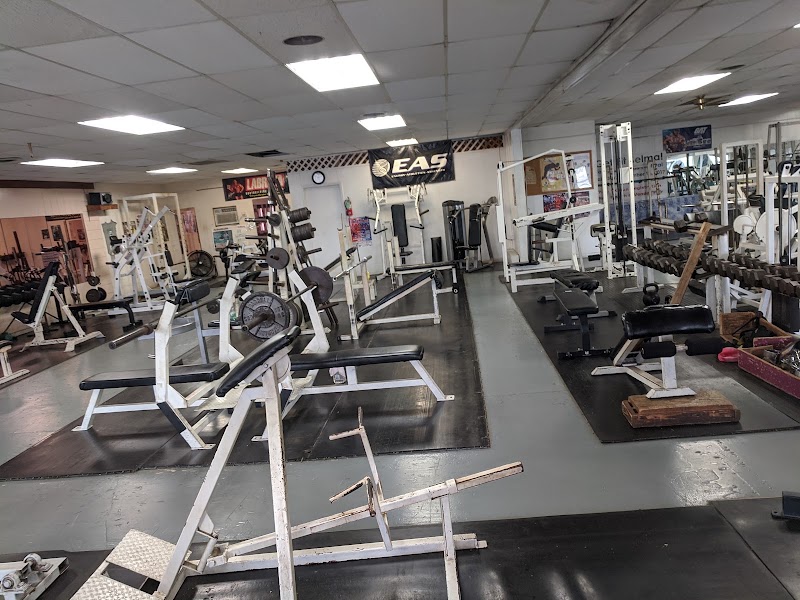 Photo of Body Builders Inc