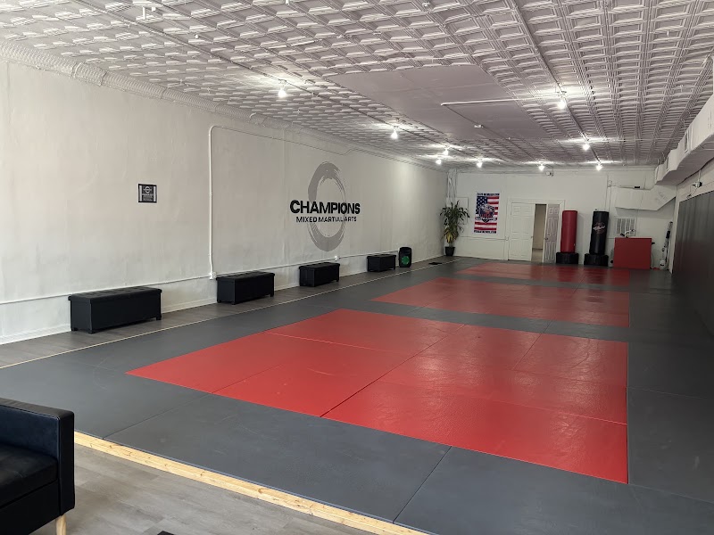 Photo of Champions mma Bartow