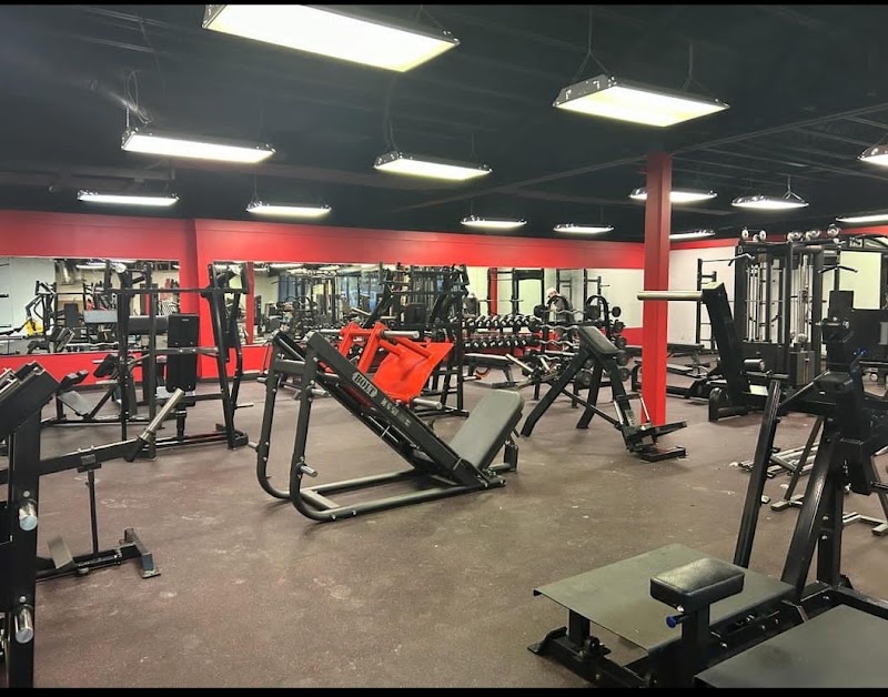 Photo of Level 1 fitness