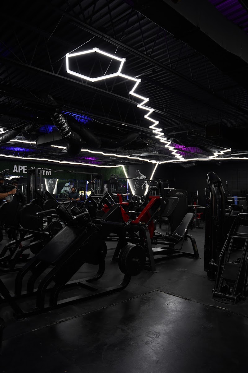Photo of APE-X GYM