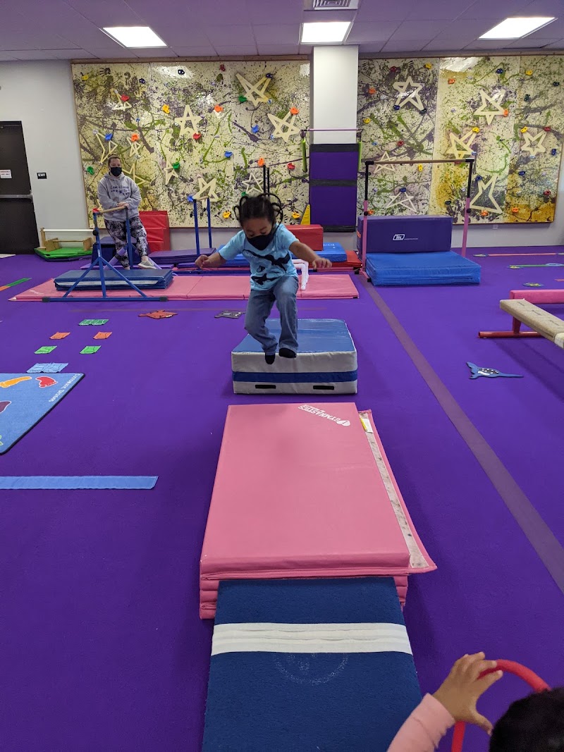 Photo of Carolina Stars Gymnastics