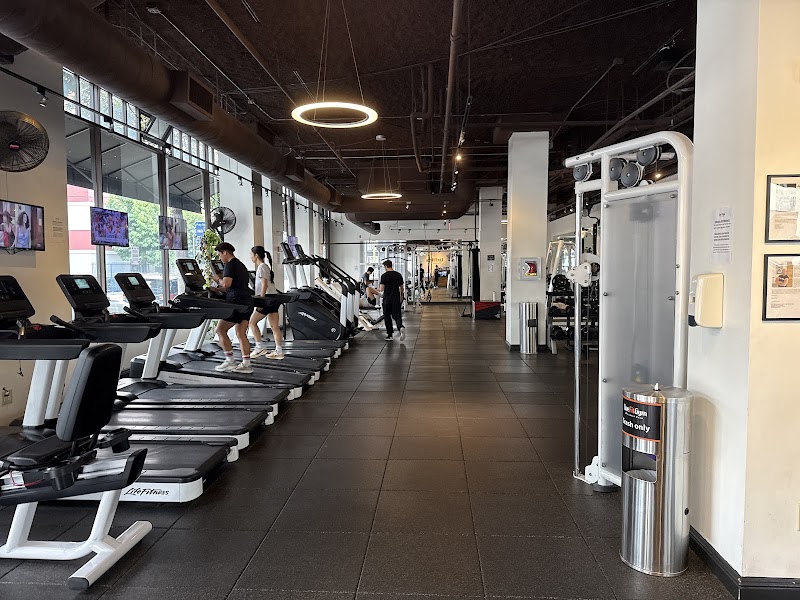 Photo of Live Fit Gym • Hayes Valley