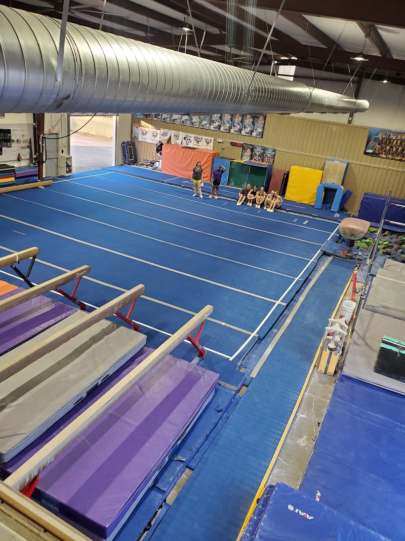 Photo of Next Level Gymnastics Academy