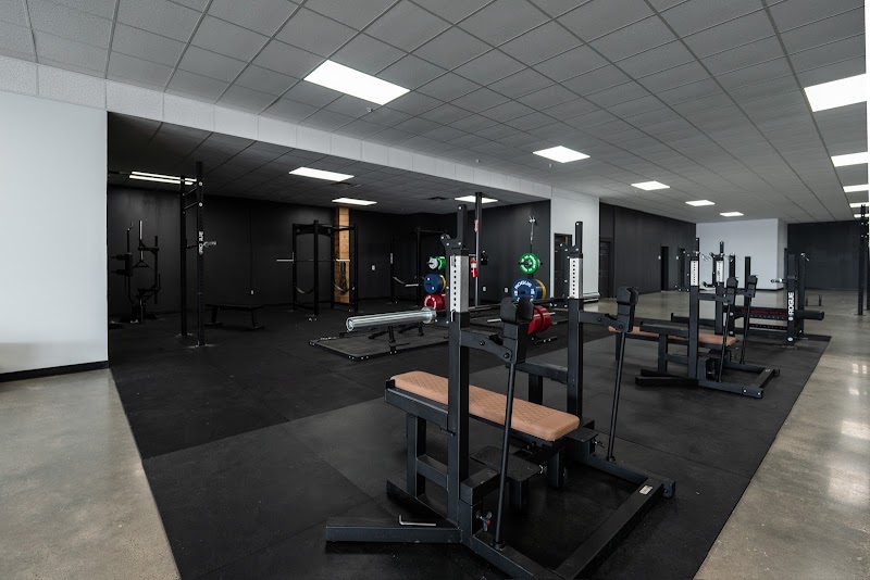 Photo of IRON Muscle & Fitness