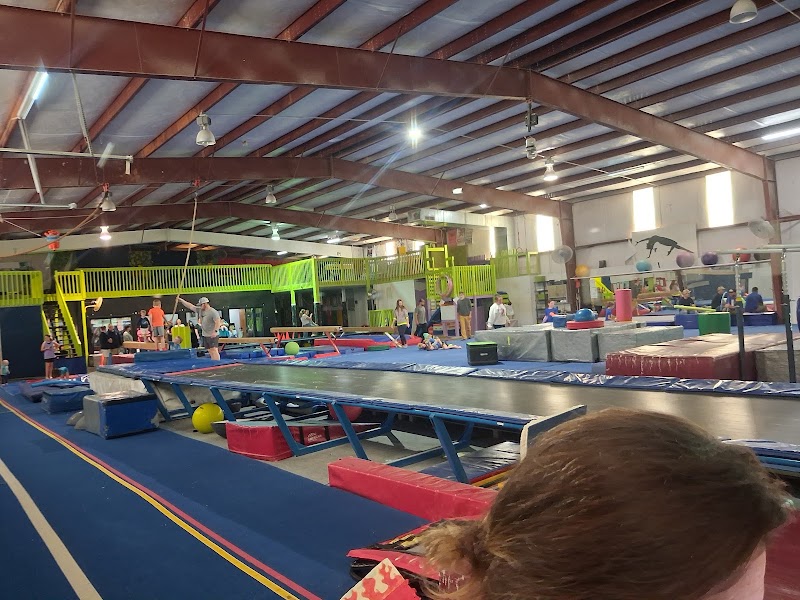 Photo of Electric City Gymnastics