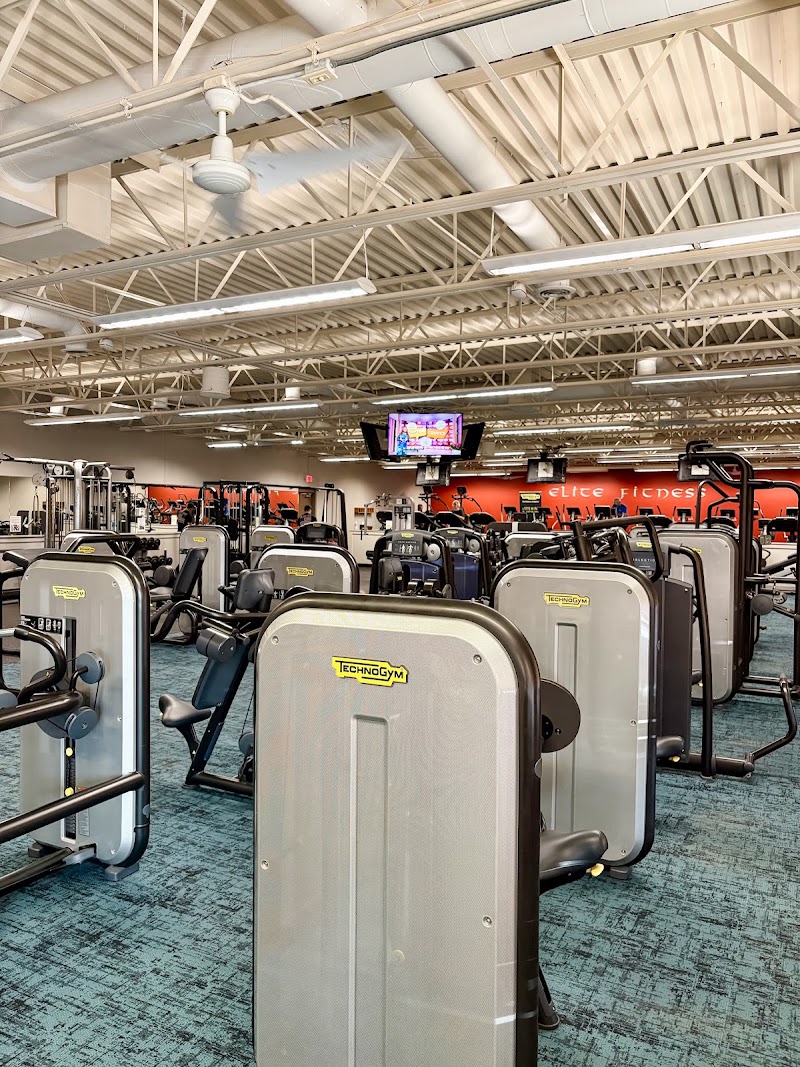 Photo of Elite Fitness of Gray Inc.