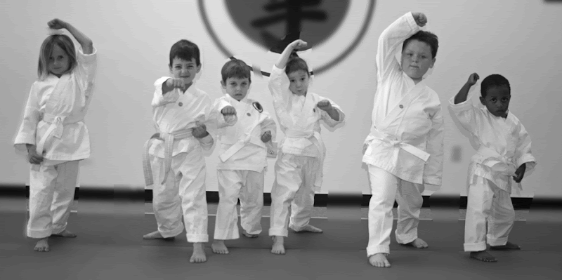 Photo of Japan Karate Institute