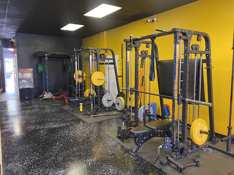 Photo of No Limiting Factors Fitness LLC