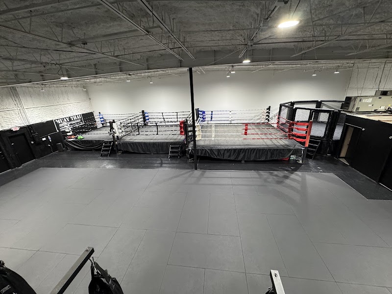 Photo of Kings Muay Thai Gym