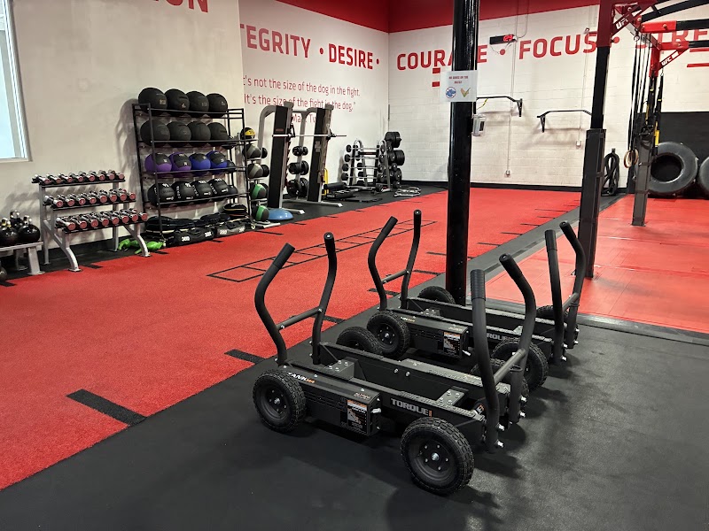 Photo of X-ZEN SPORTS