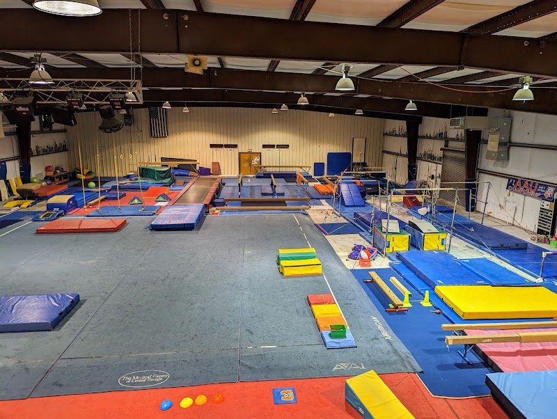 Photo of Gym Nest School of Gymnastics