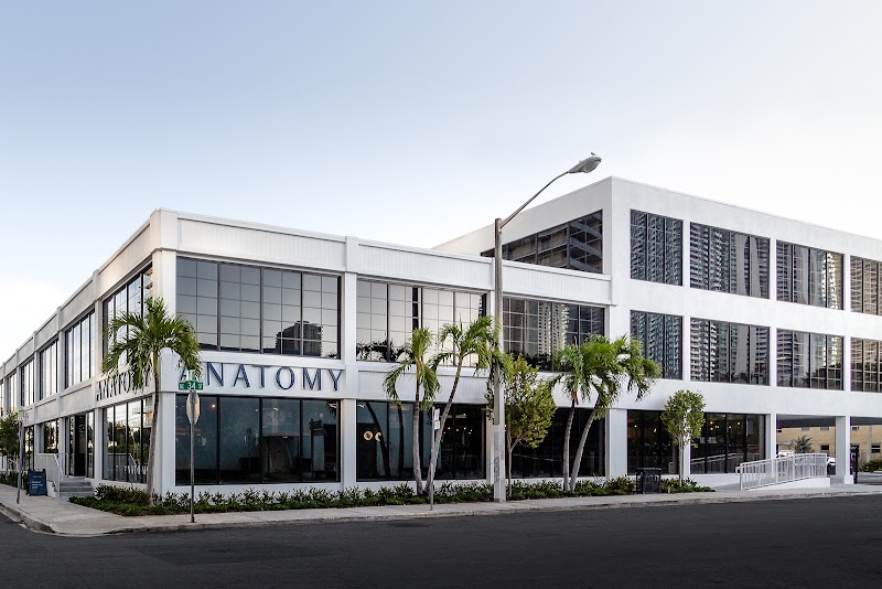 Photo of Anatomy