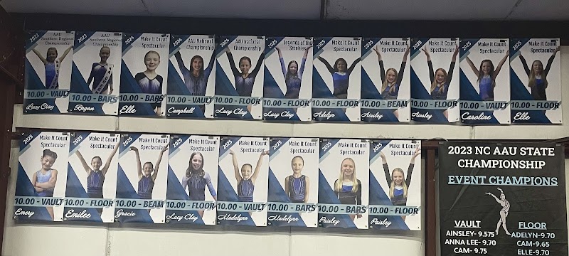 Photo of New River Gymnastics Academy