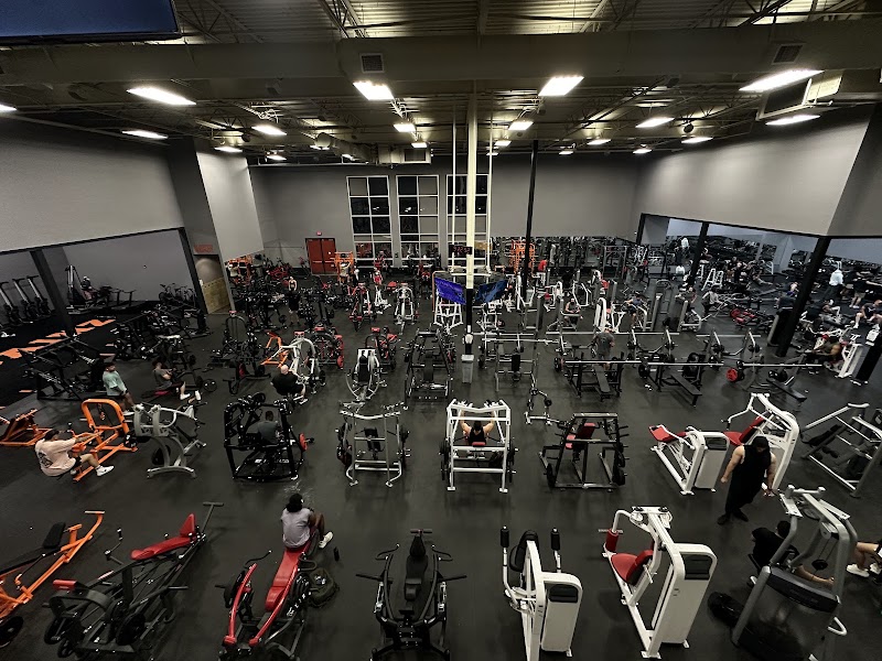 Photo of House of Gainz
