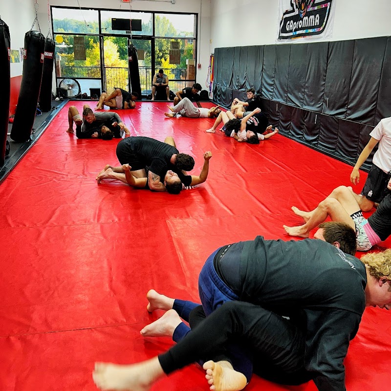 Photo of Georgia Pro MMA