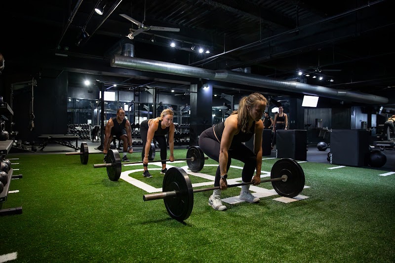 Photo of Body High Fitness