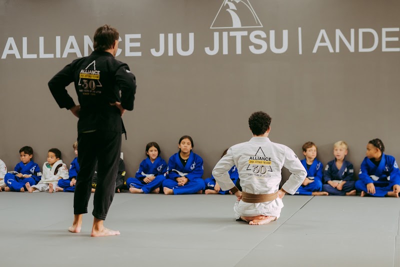 Photo of Alliance Jiu Jitsu Anderson