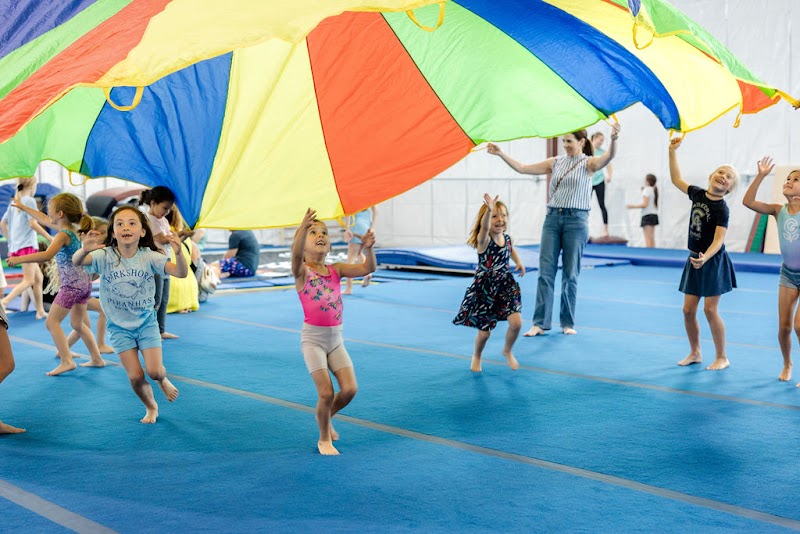 Photo of Grassroots Gymnastics