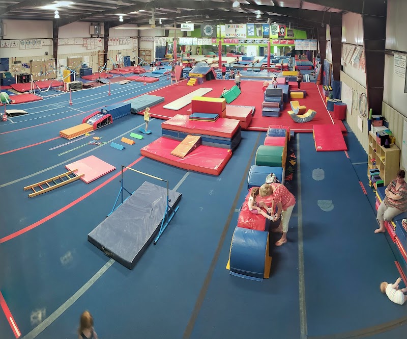 Photo of Paulding Gymnastics
