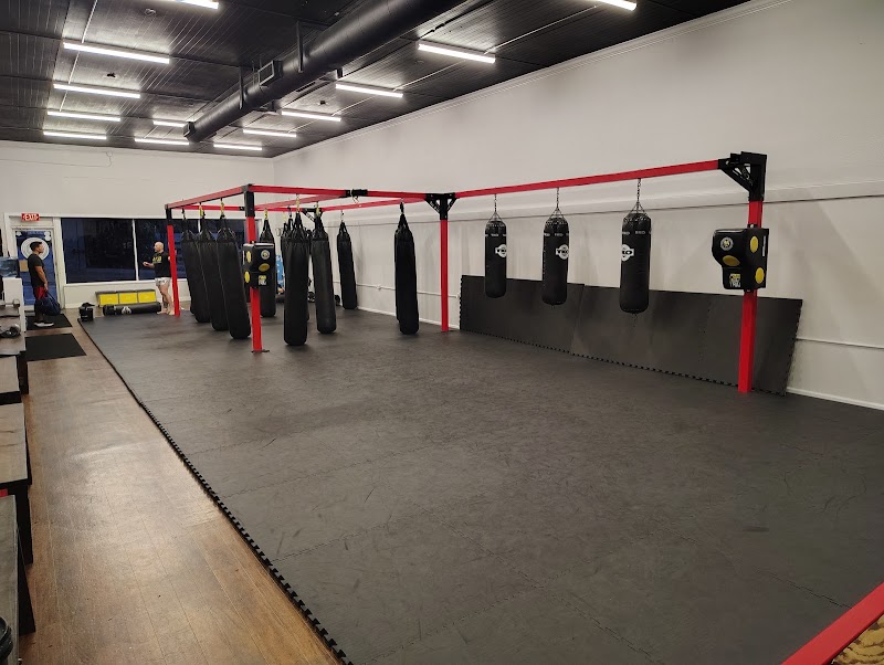 Photo of American Killer Bees Fitness